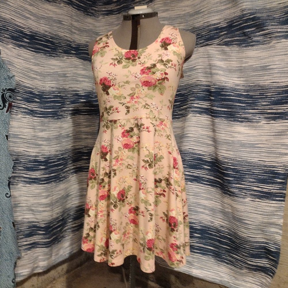 Pink Rose Print Skater Dress